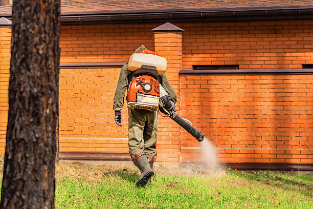 Trusted Cockroach Control service in Rainbow Lakes, NJ - Nex Pest Control